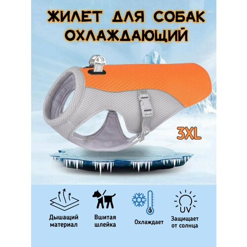 Охлаждающий жилет для крупных собак, оранжевый, 3XL