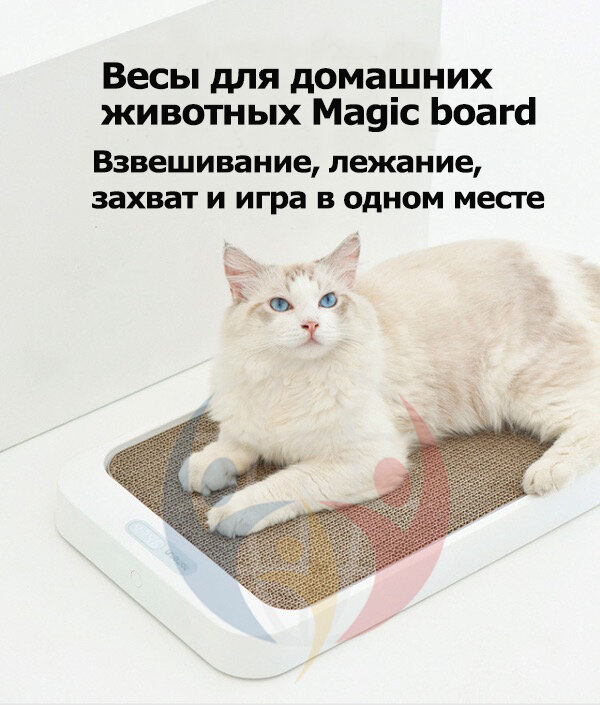 Волшебные весы-платформа для питомцев， Интеллектуальные автоматические весы для животных
