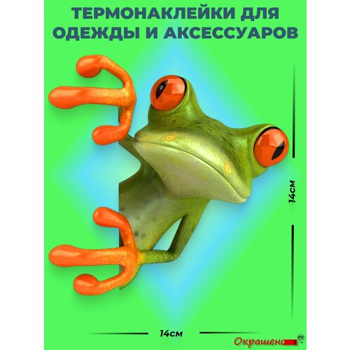 фото Термонаклейка / термотрансфер для декора одежды и аксессуаров "лягушонок любопытный" окрашенору