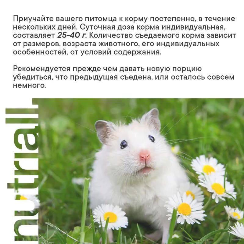 Полнорационный зерновой корм Nutriall для хомяков с Орехом 900 грамм — фото 1