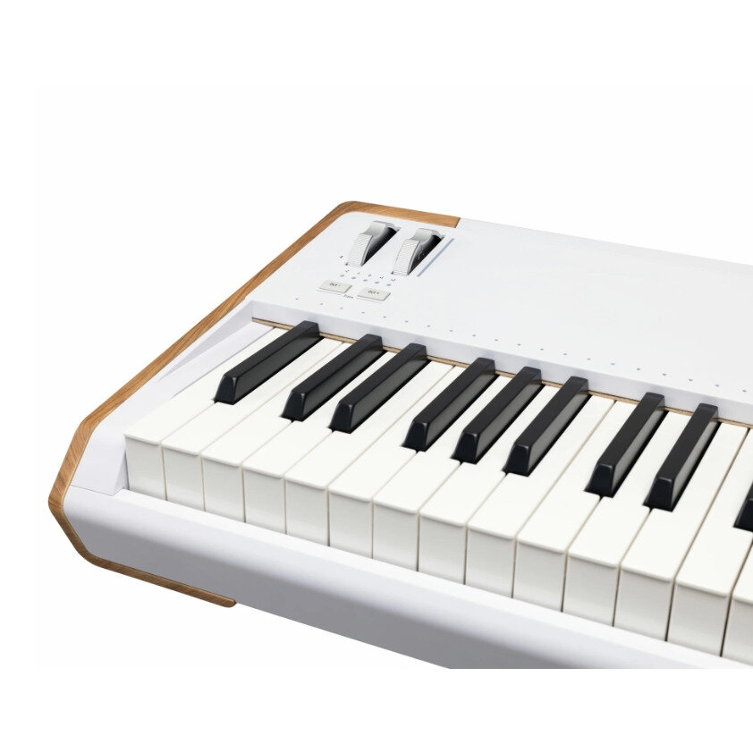 Миди клавиатура Arturia Astrolab 88 — фото 1