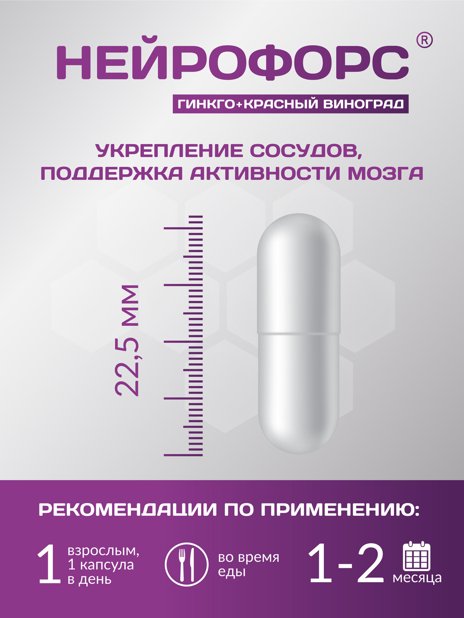 Препараты Для Мозгового Кровообращения PLANTCOMPLEX нейрофорс Гинкго билоба + Красный виноград. Для улучшения состояния сосудов и работы мозга, памяти. Антиоксиданты. Ноотроп. 30 капс. ВТФ.
