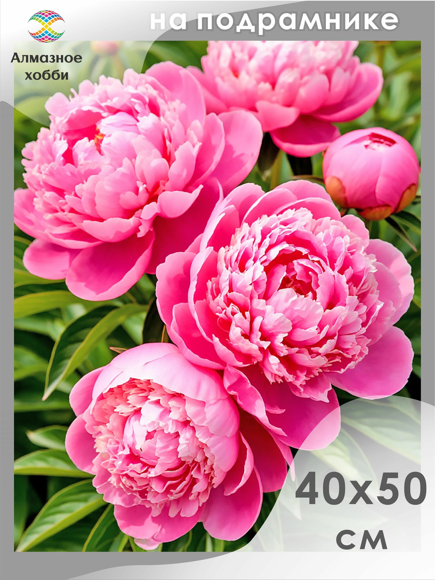 Алмазная мозаика на подрамнике Розовые пионы 40х50