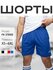 Шорты FN Stride шорты мужские спортивные