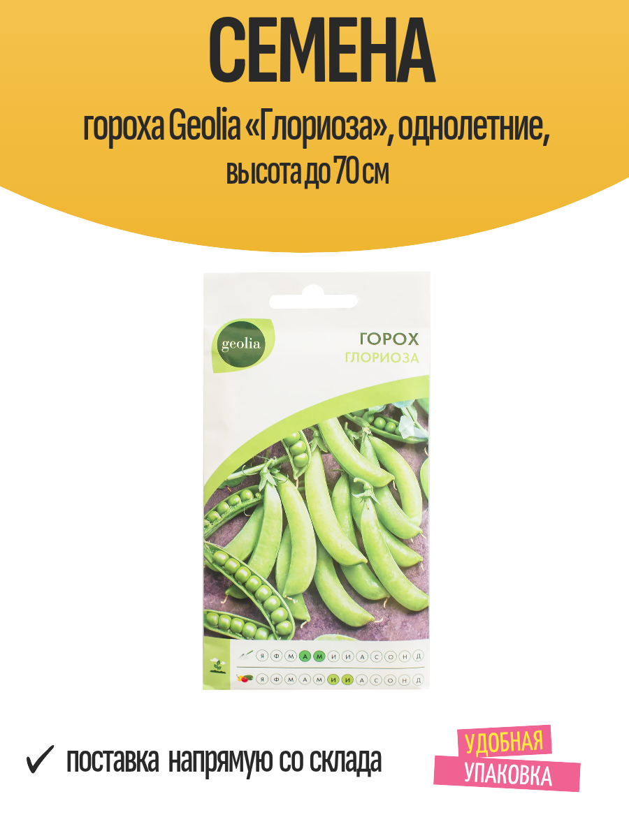 Семена гороха Geolia «Глориоза» однолетние высота до 70 см