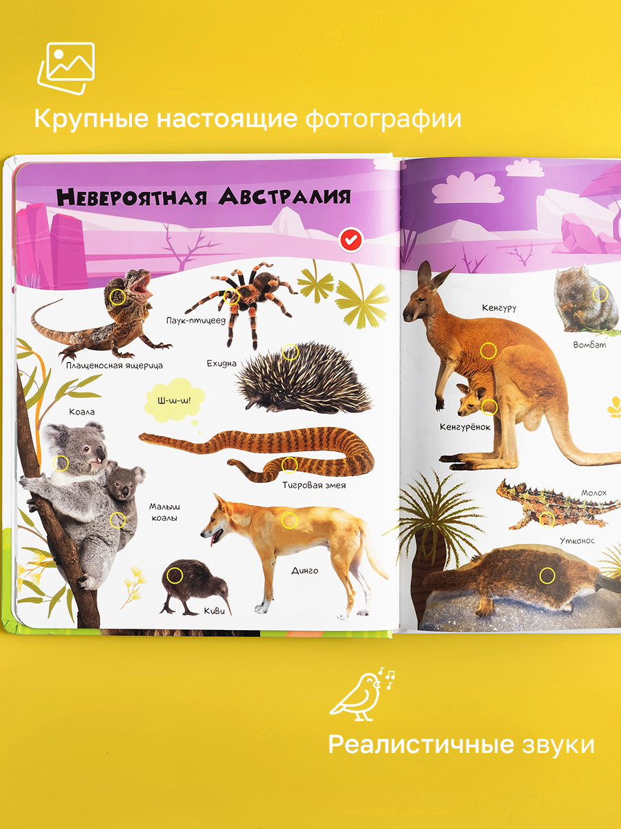 Интерактивная музыкальная говорящая игрушка-книжка Большая Нажималка - Животные, BertToys. Для мальчиков, девочек — фото 1
