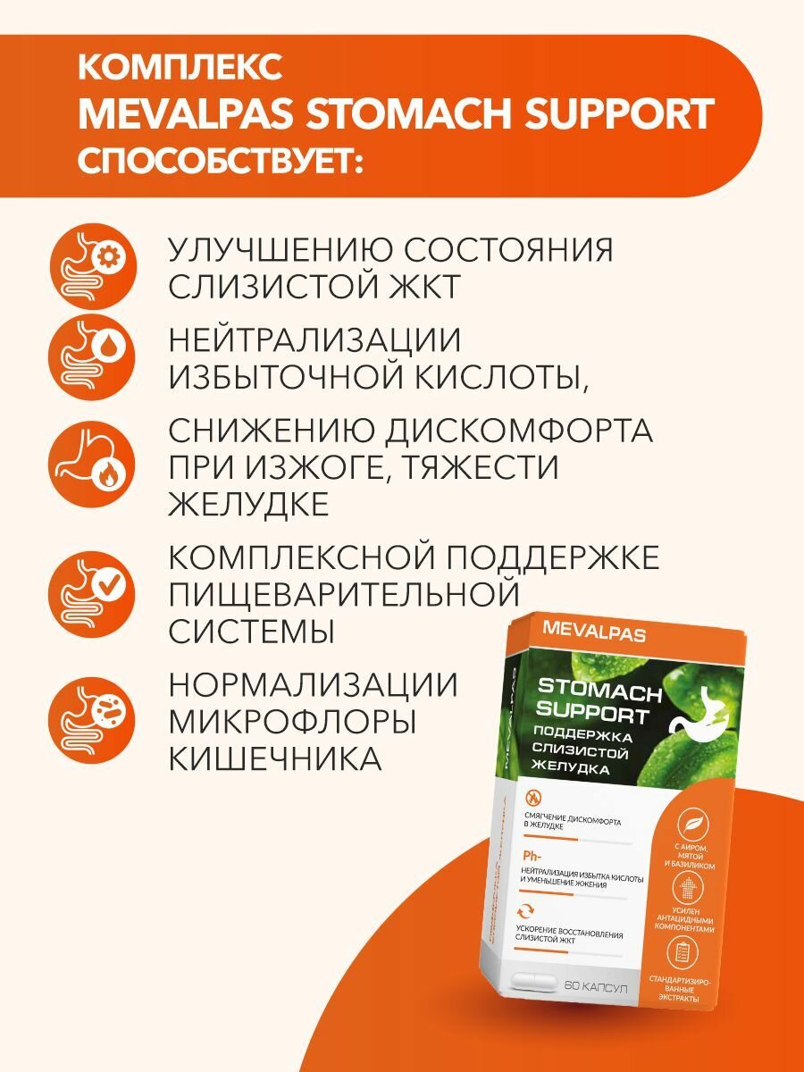 Mevalpas stomach support/ мевалпас поддержка желудка капс. 545 мг. n60 втф — фото 1