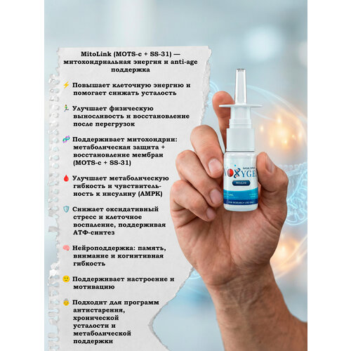 MitoLink (MOTS-c + SS-31) 40мг/10мл инновационный способ доставки двух митохондриально-направленных пептидов
