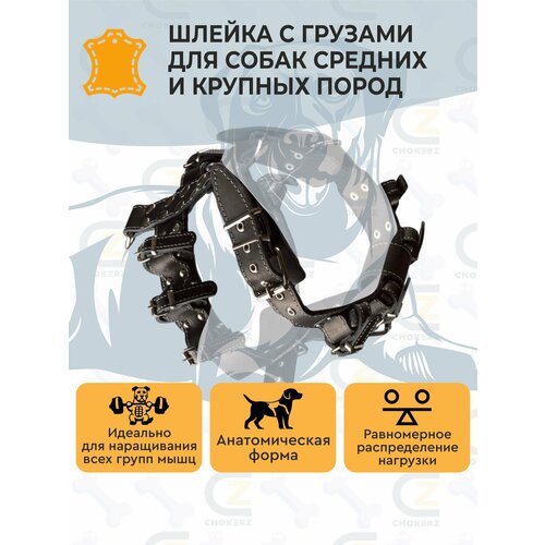 фото Шлейка для собак/ шлейка кожаная с утяжелителями (грузами) chokerz