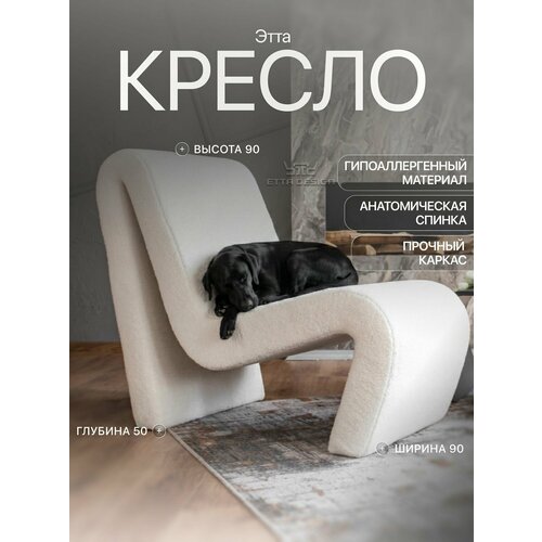 фото Дизайнерское кресло для отдыха в гостиную седия . белый оникс etta design