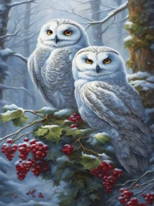 Основная фотография от вендора