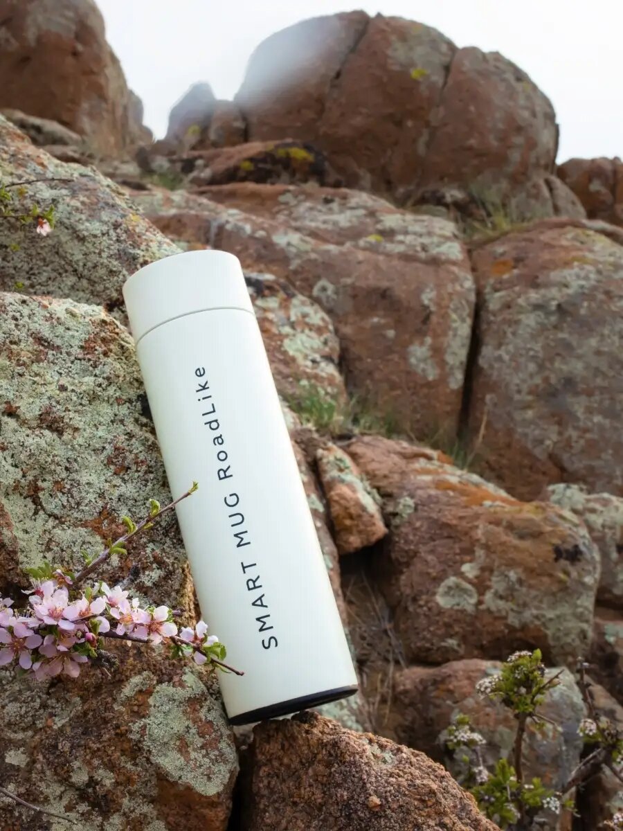 Термос с датчиком температуры из нержавеющей стали Roadlike 500мл, белый — фото 1