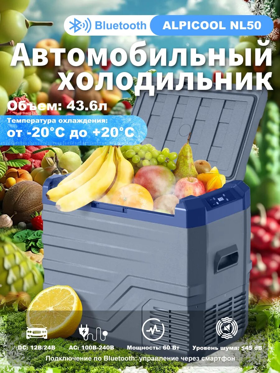 Автохолодильник компрессорный NL50, 12/24/220 В — мощный холодильник для автомобиля, кемпинга и дальних поездок