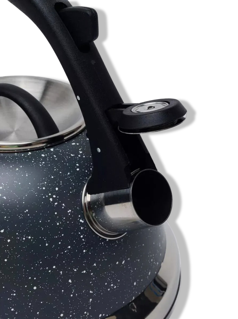 Чайник со свистком от Zepter для всех видов плит, 3.2 литра, черный — фото 1