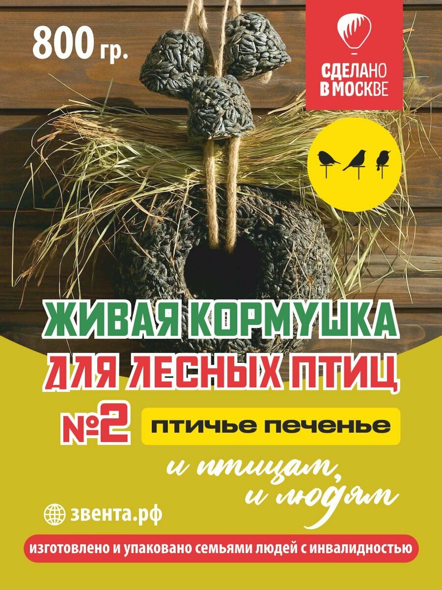 Корм для парковых лесных птиц и белок. /Живая кормушка для диких лесных птиц и белок № 2/ 