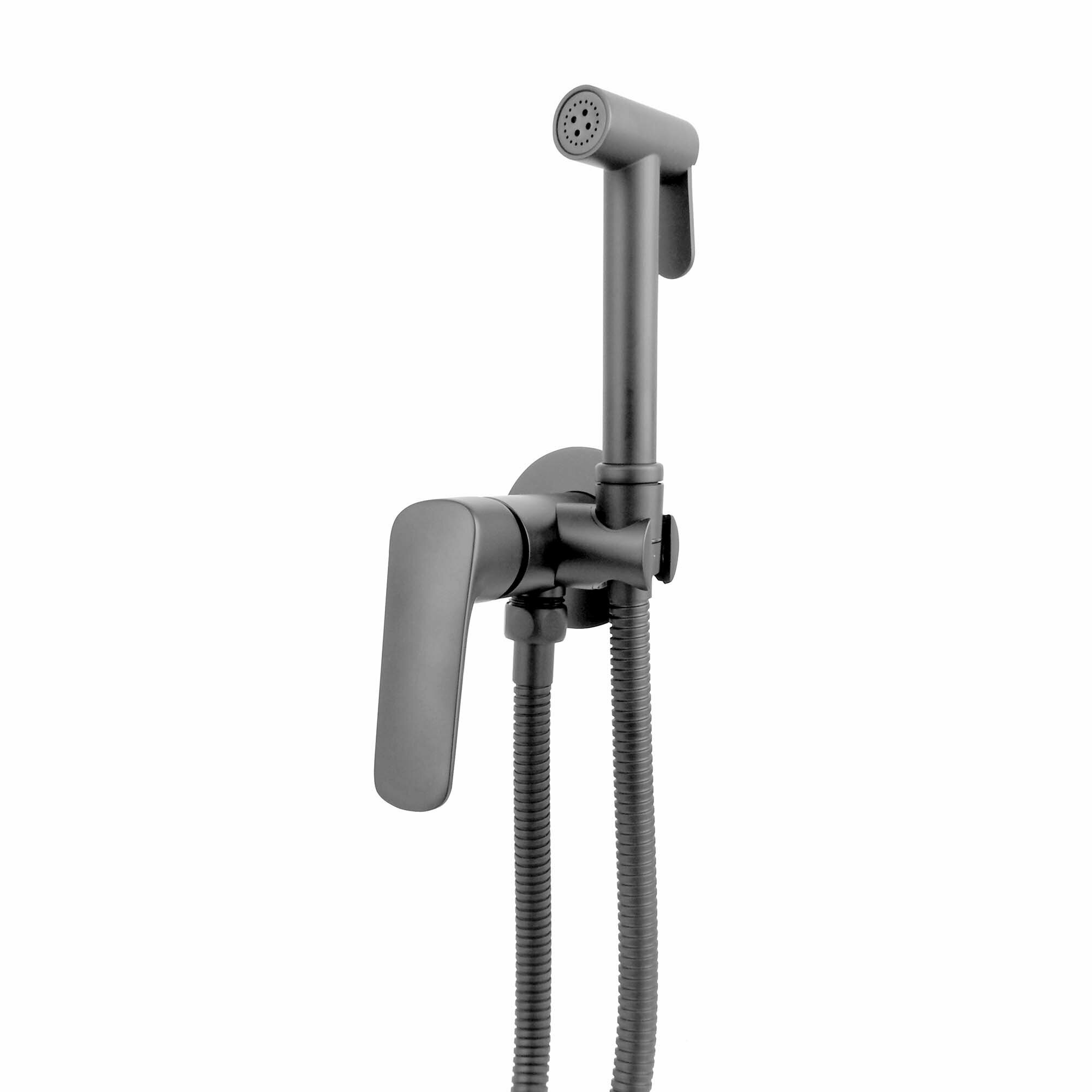 Гигиенический душ встроенный Aquatek AQ1019BGM вега, оружейная сталь