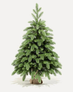 Изображение товара Настольная ель афродита, 90 см, зелёная, хвоя 100% литая, царь елка Афр-90