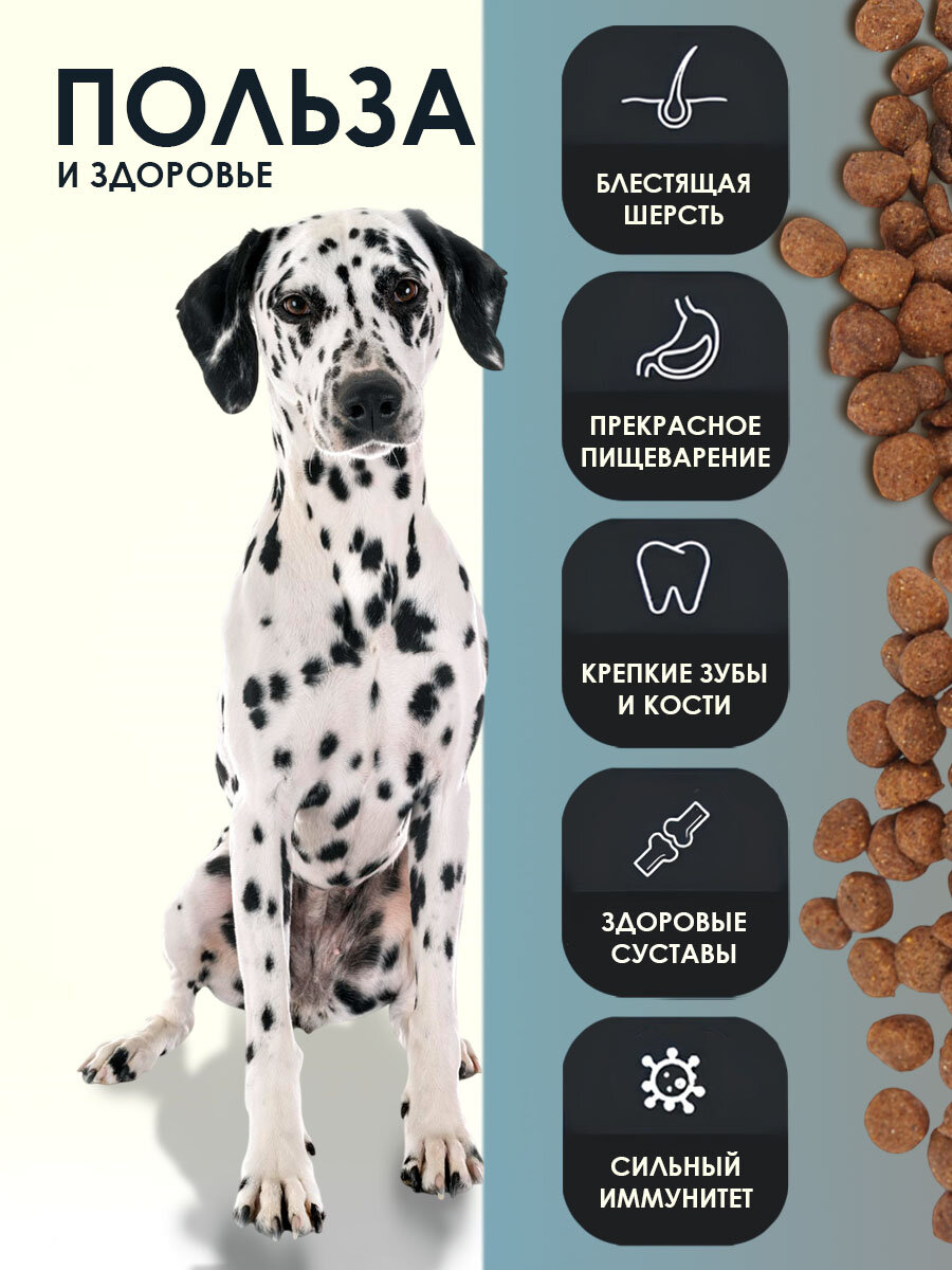 Корм для собак сухой Gina Dog Hypoallergenic гипоаллергенный, индейка, утка, тунец 18 кг — фото 1