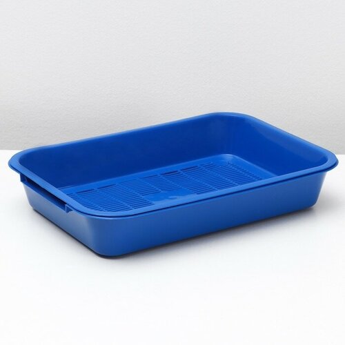 Туалет средний с сеткой 36 х 26 х 65 см синийчерничный 547₽