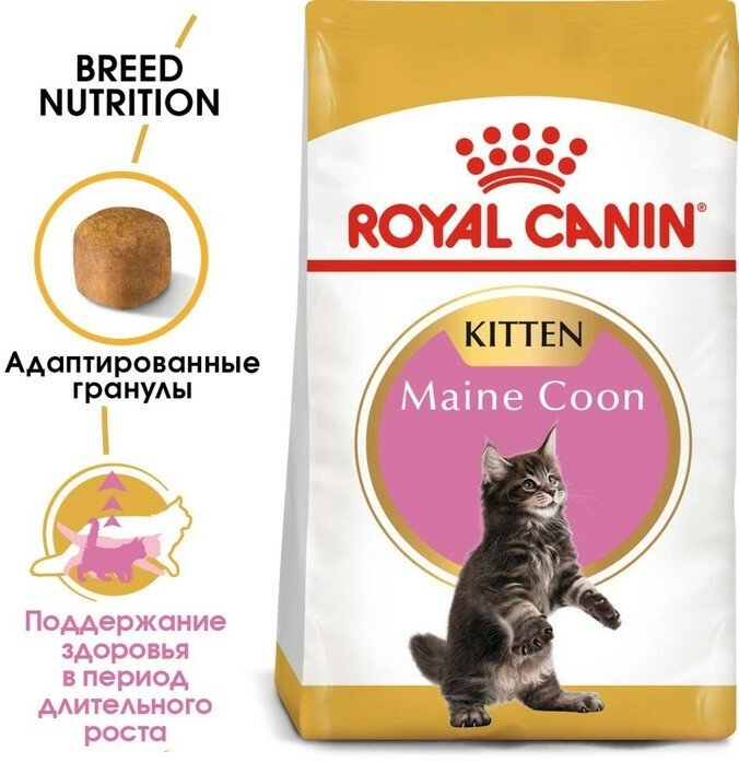 Сухой корм Royal Canin Maine Coon для котят породы мэйн-кун и других крупных пород, 2кг - фото №4