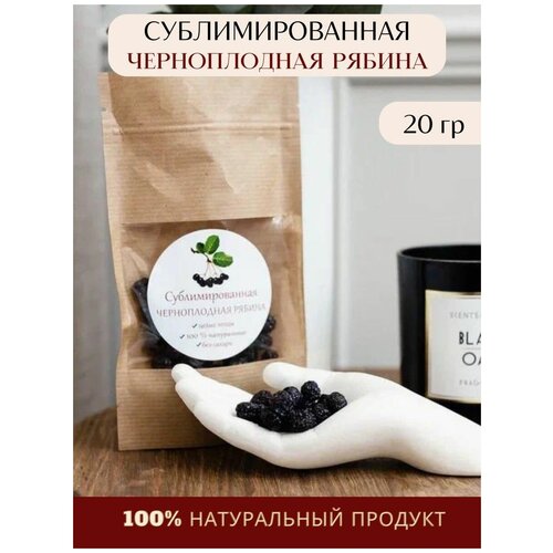 Черноплодная рябина сублимированная сушеная 20гр