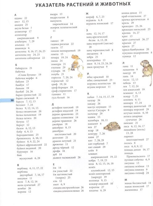 Мир животных в картинках (Ушинский Константин Дмитриевич) - фото №11