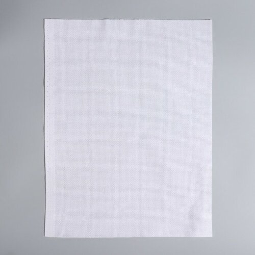 Набор для вышивания крестиком: канва без рисунка белая, 30×40 см, пяльцы d = 16 см набор для вышивания подберезовики 30 x 30 см 1 упаковка