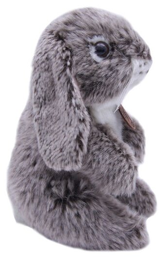 anna club plush rabbit