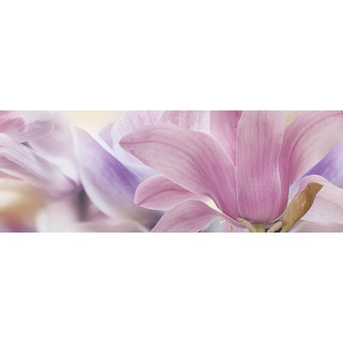 Dec Calido Dance A Декор 25х70 9521₽