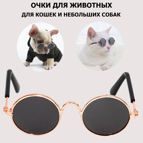 Солнцезащитные очки для животных, очки для собак и кошек, аксессуар для фотосессии