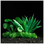 Растение аквариумное Пижон Аква искусственное, 15 см (M674) - изображение