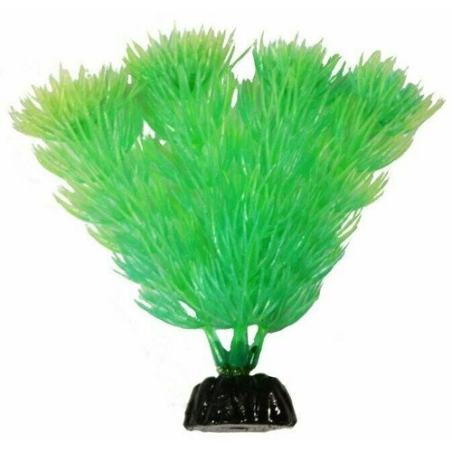 искусственное растение barbus 10 см Светящееся в темноте Пластиковое растение Barbus Амбулия 10 см.