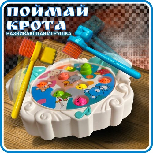 Развивающая игрушка, 