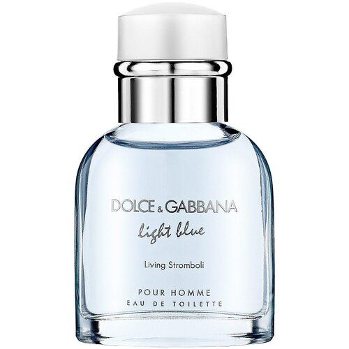 D&G Light Blue Living Stromboli   125