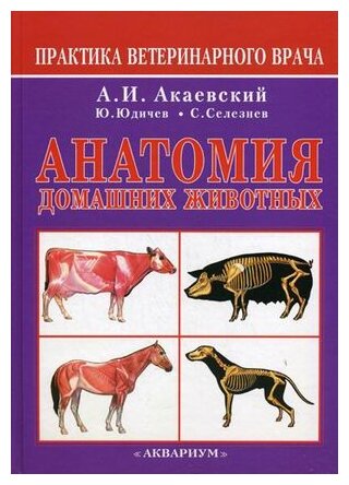 Анатомия домашних животных (Акаевский Анатолий Иванович, Юдичев Юрий Федорович, Селезнев Сергей Борисович) - фото №1