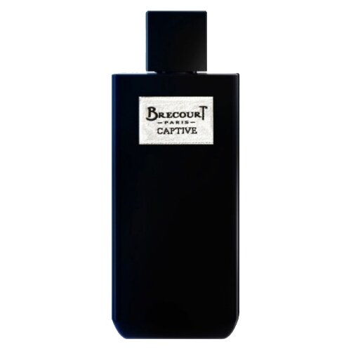 Brecourt парфюмерная вода Captive, 100 мл