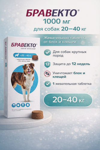 Изображение товара MSD Animal Health Бравекто для собак 20-40 кг, таблетки 1000 мг 1 шт. в уп, 1 уп.