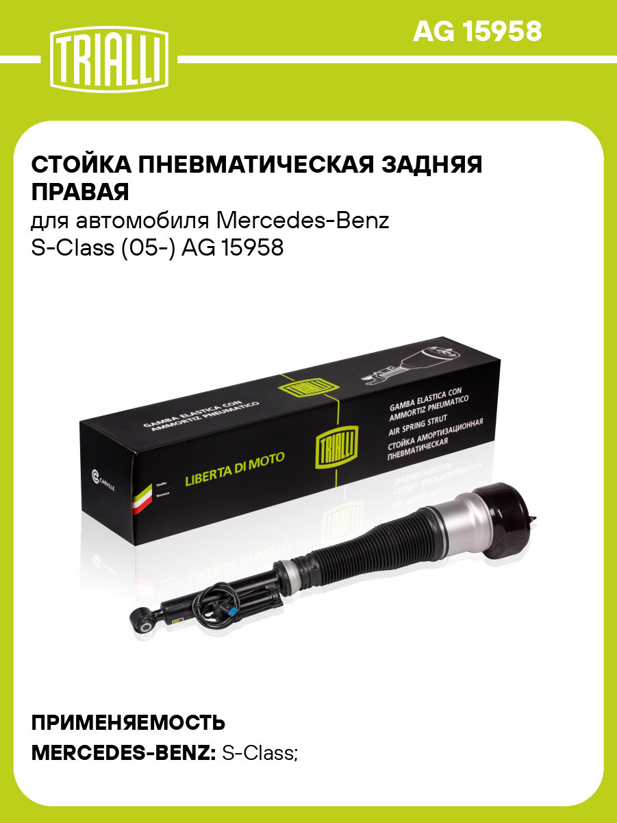 Стойка пневматическая задняя правая для автомобиля Mercedes-Benz S-Class  (05-) AG 15958 TRIALLI — купить в интернет-магазине Carvilleshop на Яндекс  Маркете