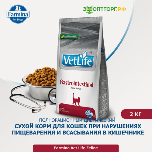 Изображение товара Сухой корм Vet Life Cat Gastrointestinal для кошек при патологии ЖКТ Диетический, 2 кг.