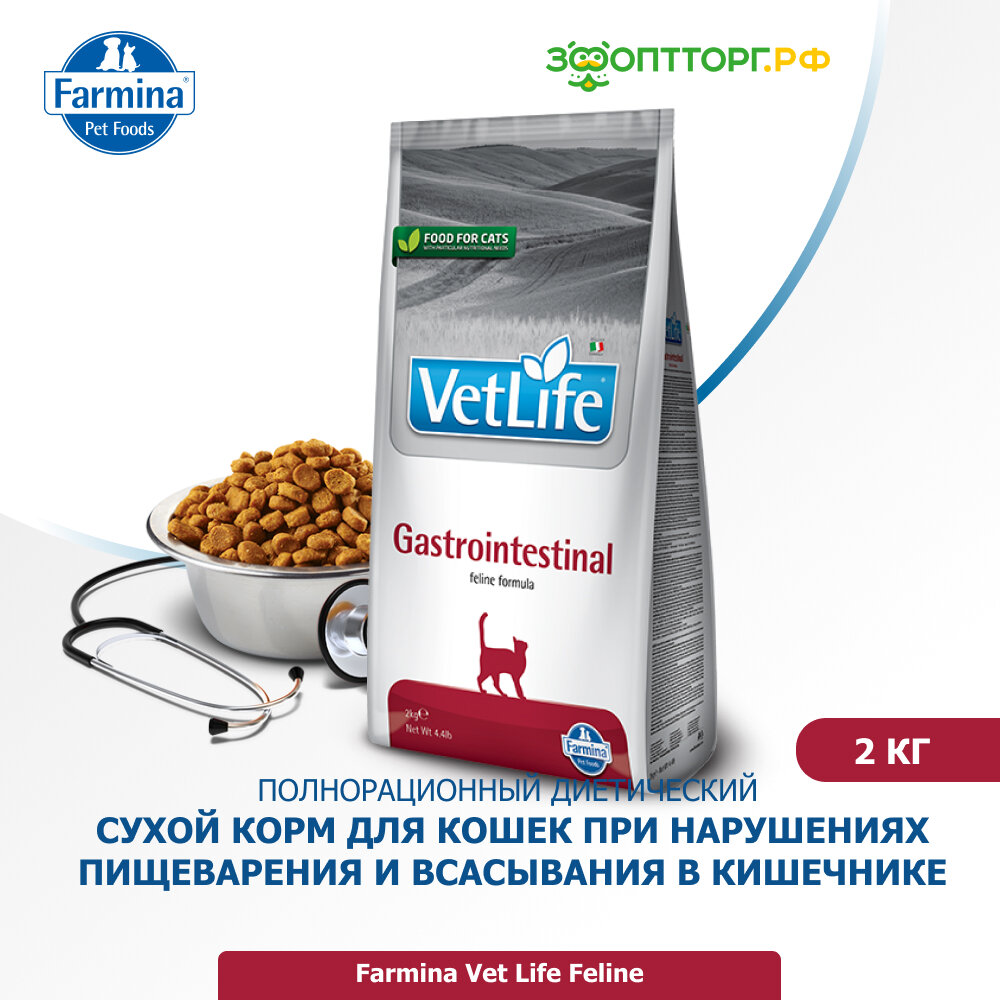 Сухой корм Vet Life Cat Gastrointestinal для кошек при патологии ЖКТ Диетический 2 кг.