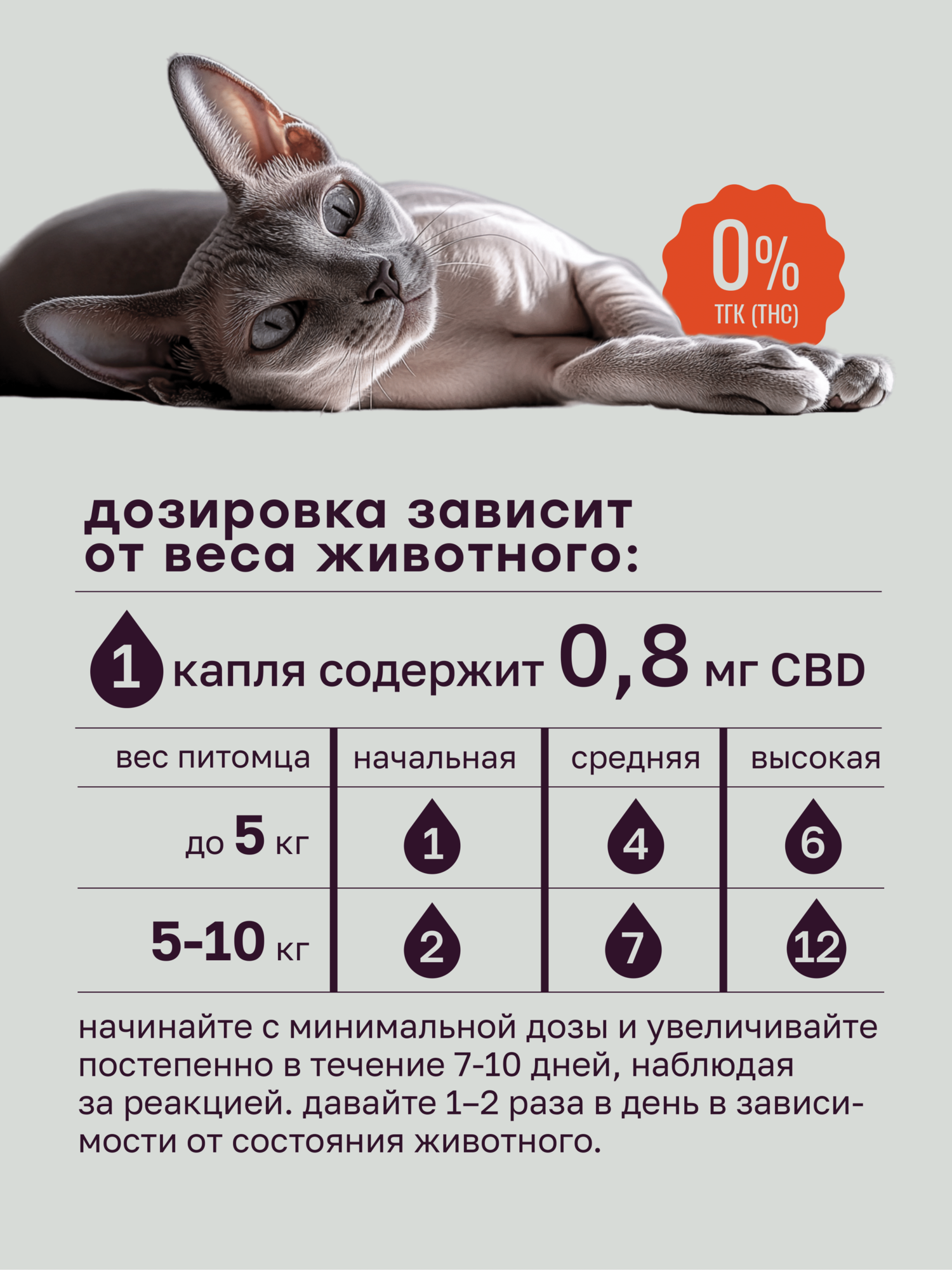 Масло MotherPlant с экстрактом CBD для животных собак и кошек 600 мг (2%) 30 мл — фото 1