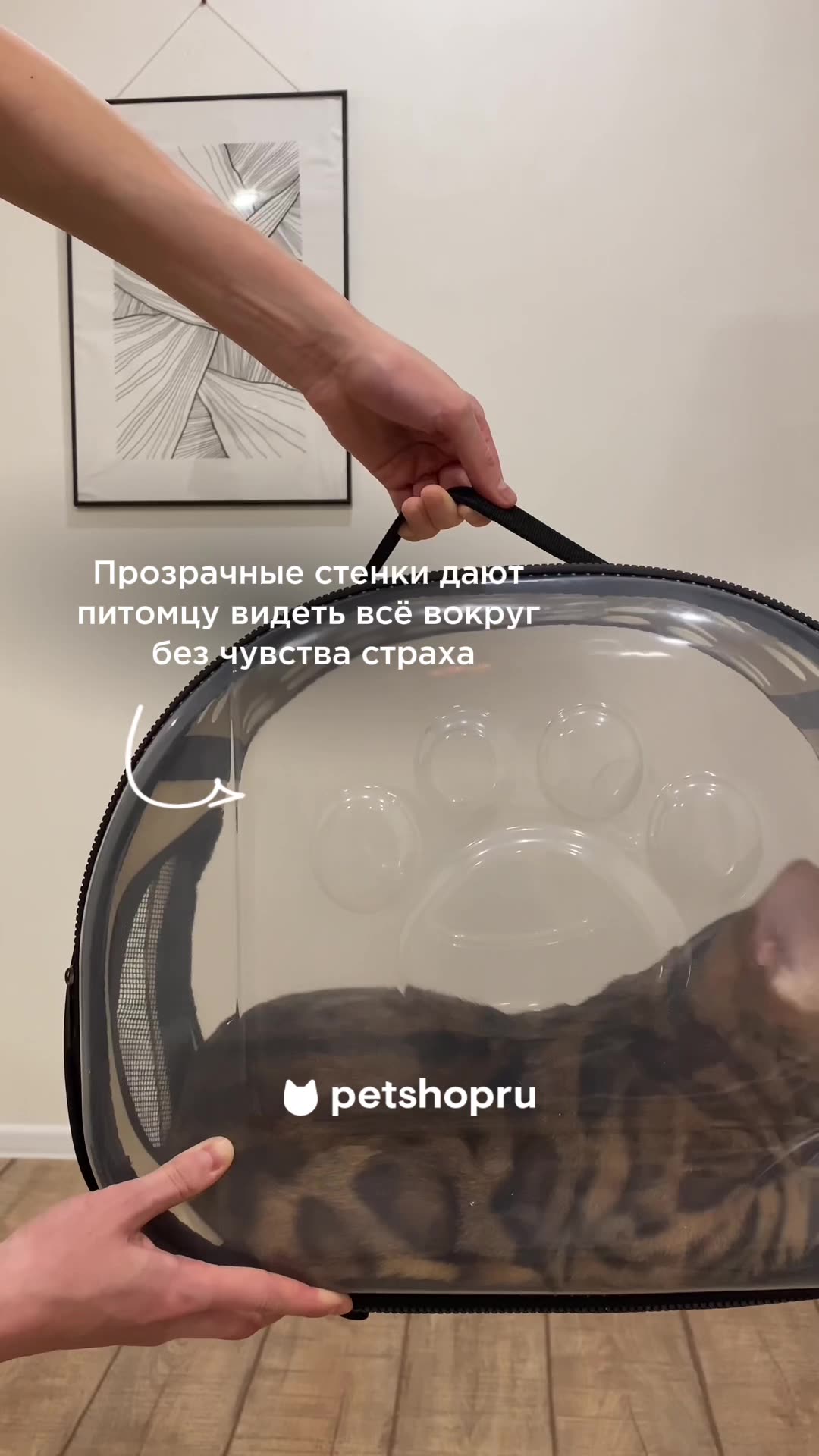 PETSHOP Прозрачная сумка переноска для кошек и собак "Симба", желтая, 40х29х33 см — фото 1