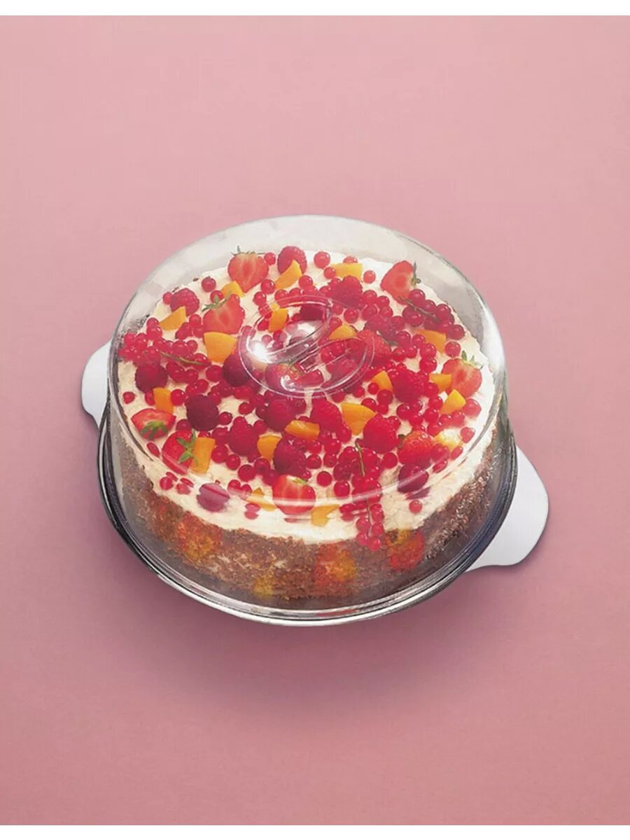 Тортовница с колпаком Aps 300х300х110мм, сталь, пластик