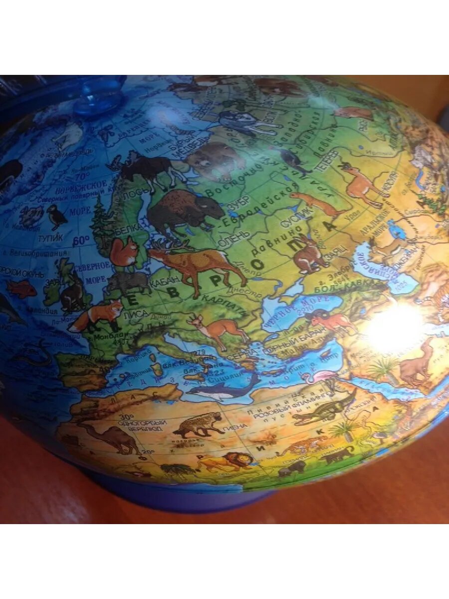 Глобус зоологический 21 см — фото 1