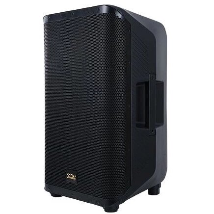 Активная акустическая система Soundking Y10P