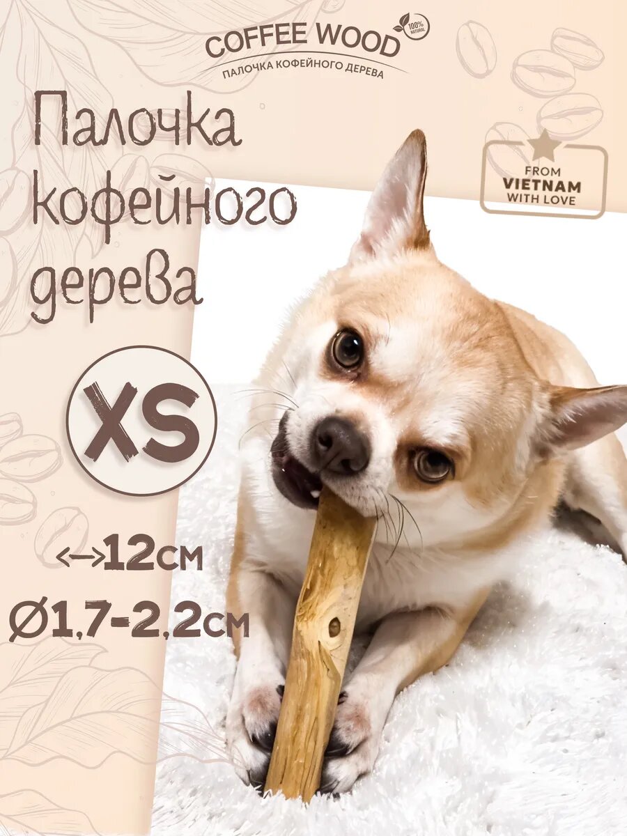 Палка кофейного дерева XS