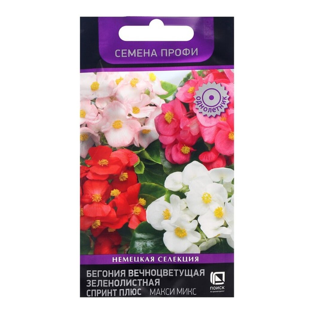 Семена цветов Бегония вечноцветущая зеленолистная 