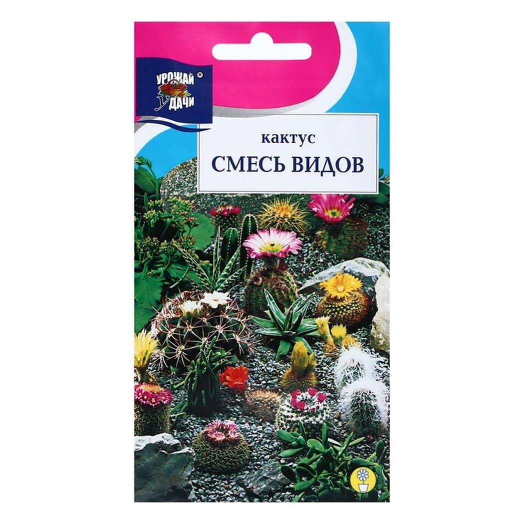 Семена цветов Кактус  Смесь видов 005г