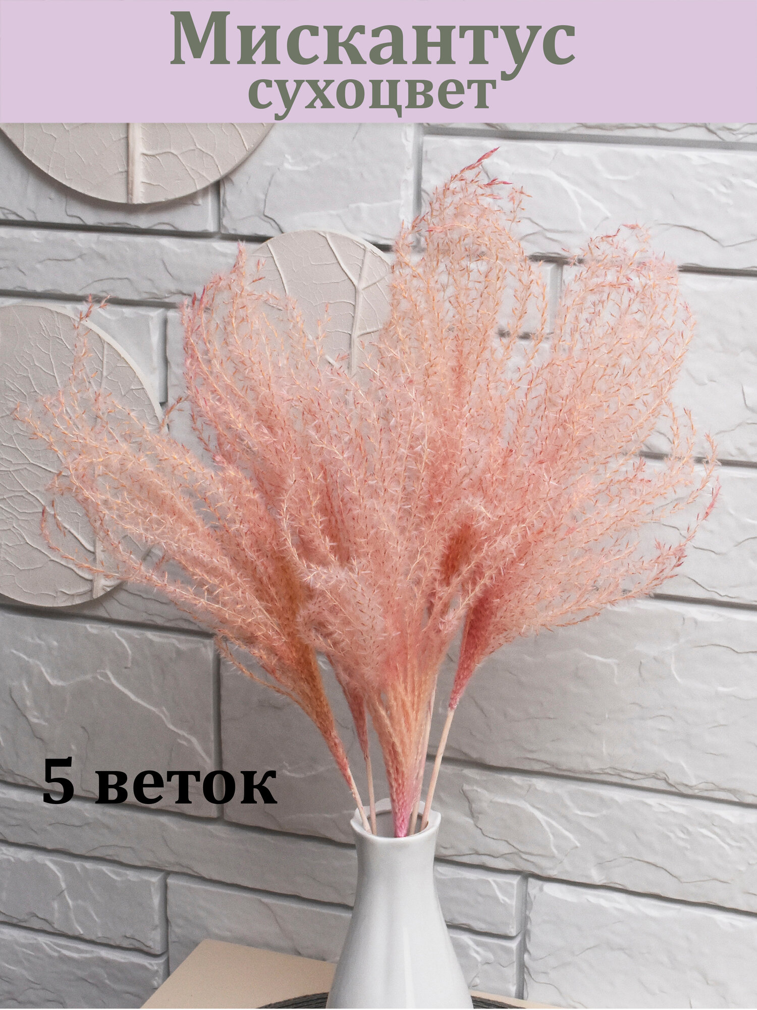 Мискантус Розовый (5 веток) / Сухоцвет / 50 см. длина / Букет из сухоцветов