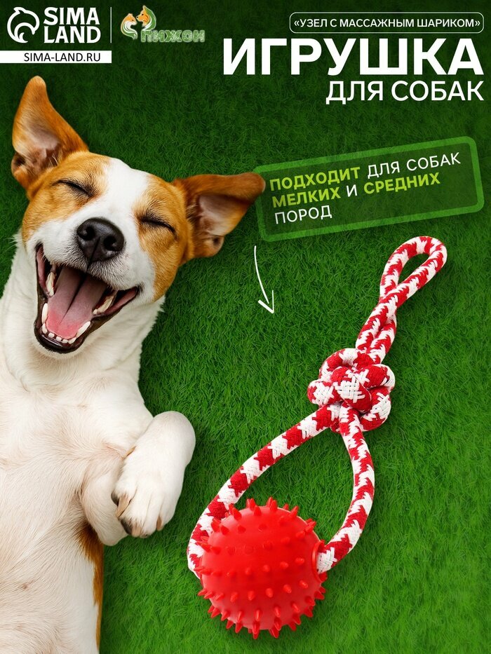 Игрушка канатная «Узел с массажным шариком», до 31 см, до 65 г, цвет микс